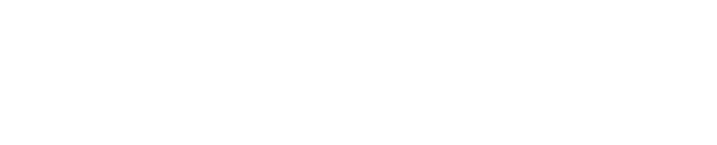 Woocommerce Ecommerce Solution for WordPress